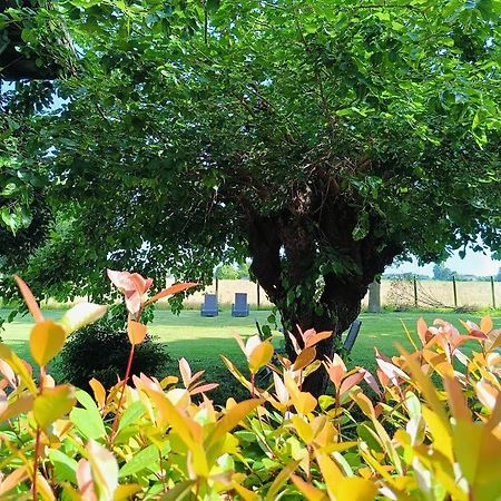 B&B Casa Del Bosco San Michele al Tagliamento Ngoại thất bức ảnh