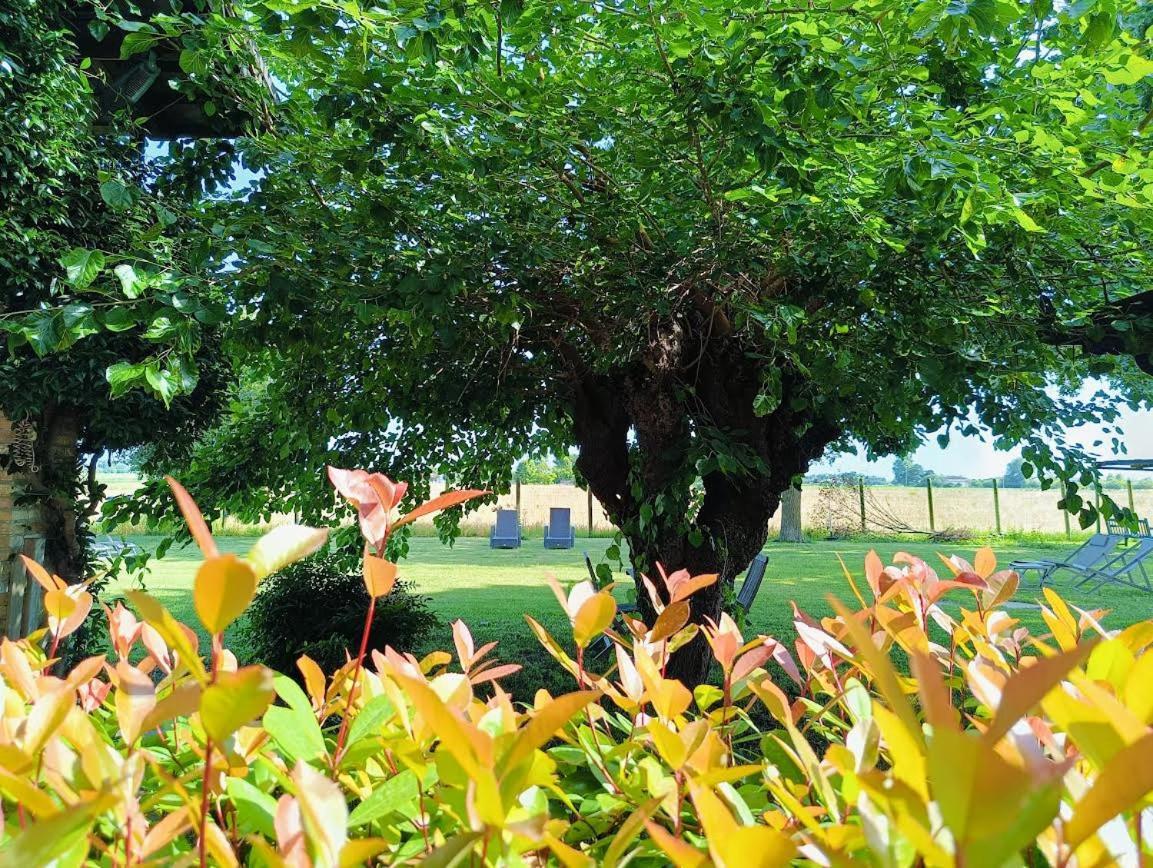 B&B Casa Del Bosco San Michele al Tagliamento Ngoại thất bức ảnh